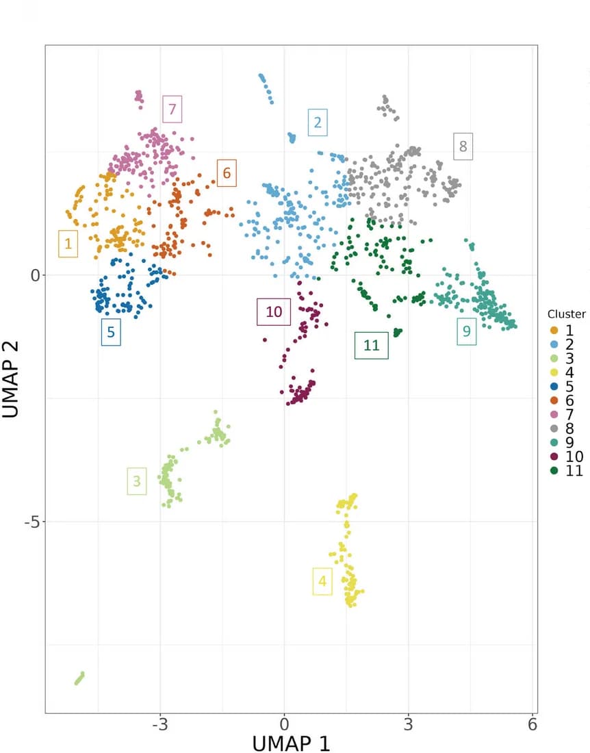 Open access visualization of Scatter Plot, UMAP, K-means Clustering, Chromatin Accessibility, ATAC-seq