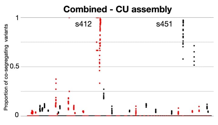 Open access visualization of Scatter Plot, Co-segregating Variants, Motley Locus, CU Assembly, Scaffolds