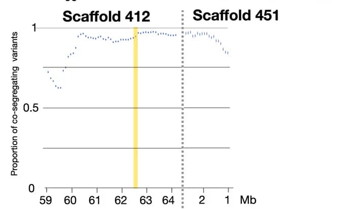 Open access visualization of Line Plot, Co-segregating Variants, CU Assembly, Super-scaffolds, Candidate Gene