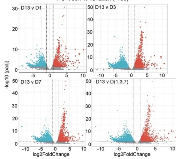 Open access visualization of Volcano Plot, Gene Expression, Day 13, Time Points, Up-Regulated
