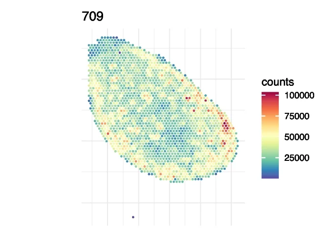 Open access visualization of Scatter Plot, Heatmap, Spatial Distribution, UMI Counts, FFPE