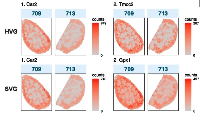 Open access visualization of Heatmap, Spatial Expression, HVGs, FFPE CA Samples, SVGs