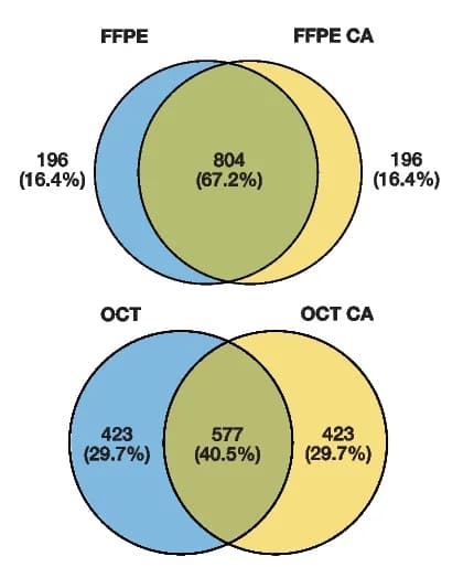 Open access visualization of Venn Diagram, Venn Diagrams, SVGs, FFPE Samples, OCT Samples