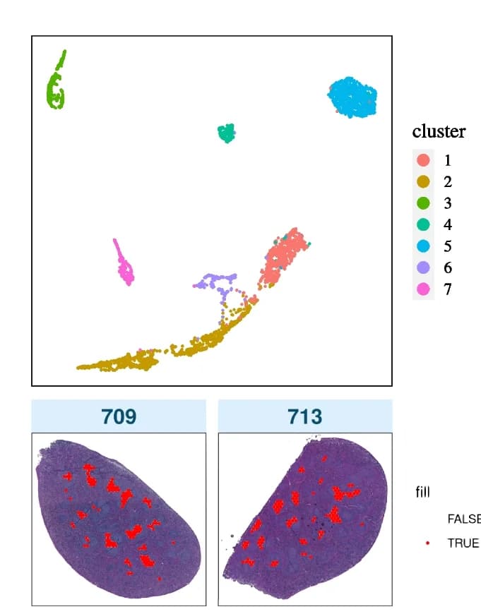 Open access visualization of Scatter Plot, Microscopy, UMAP Plot, Spatial Clusters, FFPE CA Samples