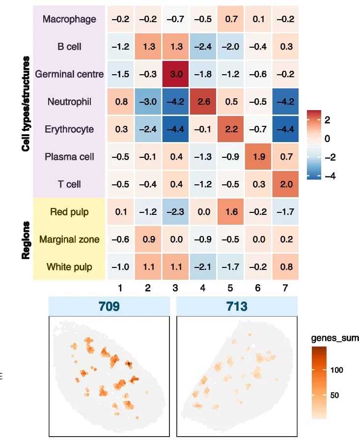 Open access visualization of Heatmap, Scatter Plot, Cell Type Marker Gene, Clusters, FFPE CA Samples