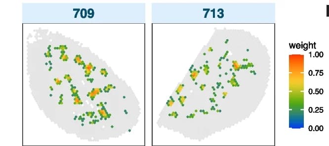 Open access visualization of Scatter Plot, Heatmap, Deconvolution Plot, T Cells, FFPE CA Samples