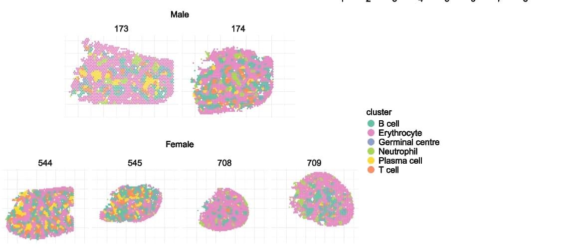 Open access visualization of Scatter Plot, UMAP, PCA, Spatial Plot, Spots