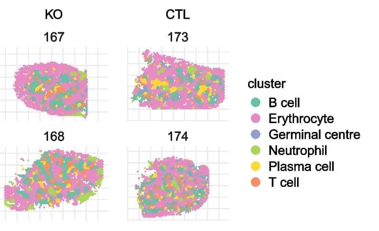 Open access visualization of Scatter Plot, UMAP, Spatial Plot, KO Samples, CTL Samples