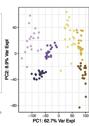 Open access visualization of Scatter Plot, PCA, Bulk RNA-seq, Principal Components, Library Type