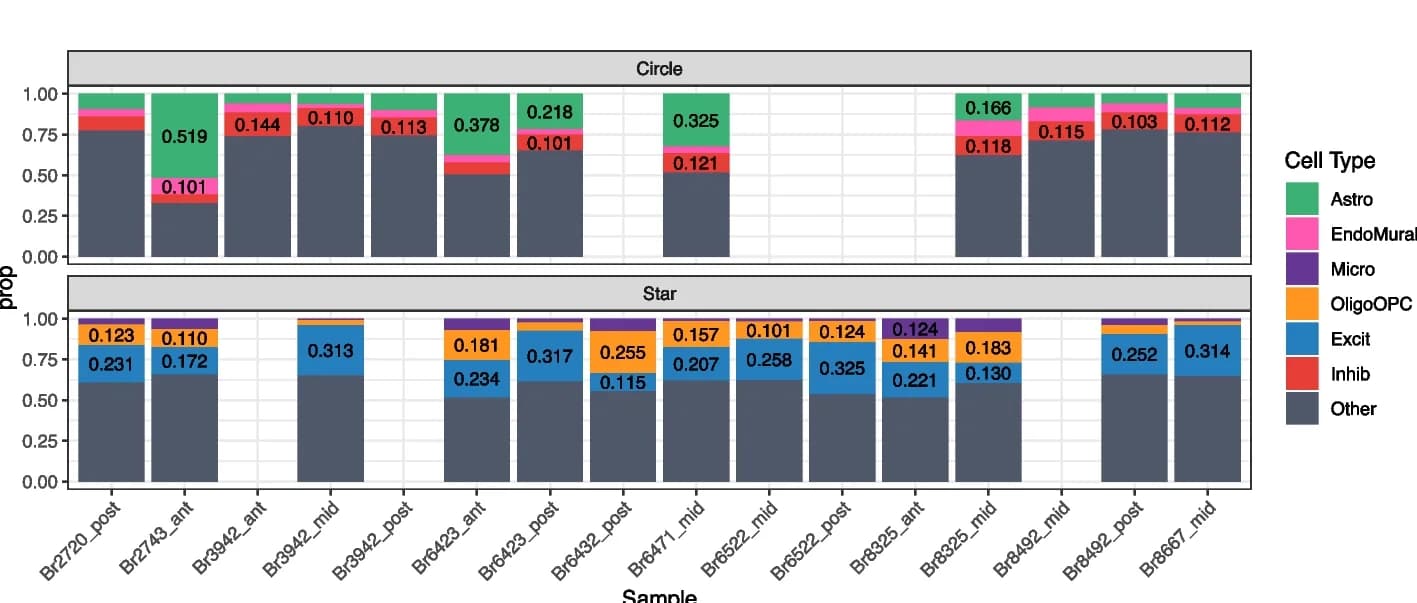 Open access visualization of Stacked Bar Plot, Barplots, Cell Type Proportions, RNAScope/IF