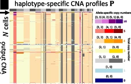 Open access visualization of Heatmap, Copy Number Calling, Deep Reinforcement Learning, Single-Cell DNA Sequencing, 10x Genomics CNV solution