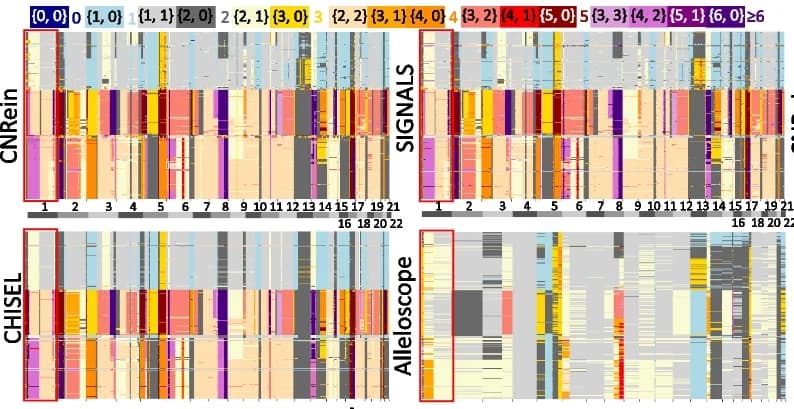 Open access visualization of Heatmap, Allele-Specific Copy Number Profiles, CNRein, SIGNALS, CHISEL