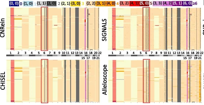 Open access visualization of Heatmap, Allele-Specific Copy Number Profiles, CNRein, SIGNALS, CHISEL
