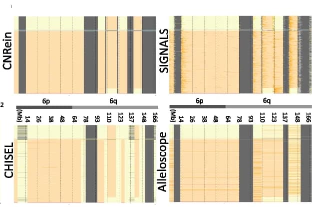 Open access visualization of Heatmap, Clone Size, CNRein, SIGNALS, CHISEL