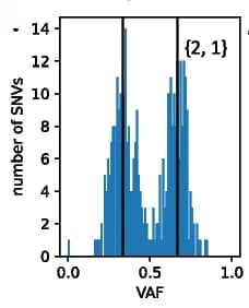 Open access visualization of Histogram, Variant Allele Frequencies, Copy Number, CNRein, Breast Cancer
