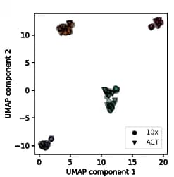 Open access visualization of Scatter Plot, UMAP, Copy Number Profiles, Breast Cancer