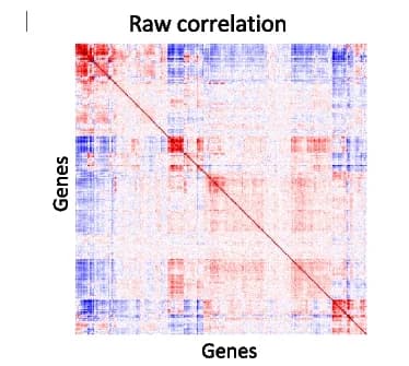 Open access visualization of Heatmap, Raw Correlation Matrix, Environment Expression Matrix, Random Genes