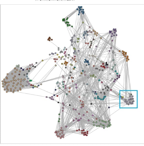 Open access visualization of Network, Network Representation, Genes, Modules, Correlation