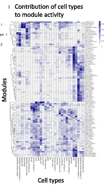 Open access visualization of Heatmap, Clustered, Estimated Involvement, Cell Type, Gene
