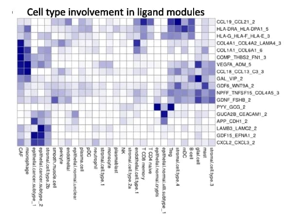 Open access visualization of Heatmap, Clustered, Cell Type, Modules