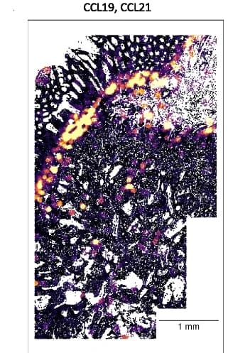 Open access visualization of Microscopy, Environment Expression, Modules, Chemoattractants