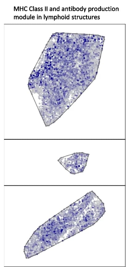 Open access visualization of Scatter Plot, MHC Class II Antigen Presentation, Antibody Production, Module, Tertiary Lymph Nodes