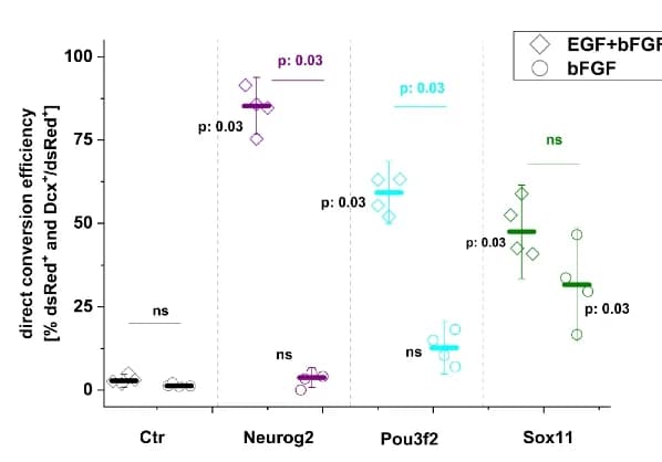 Open access visualization of Scatter Plot, Error Bars, Dot Plot, Transduced Cells, Neuron Conversion