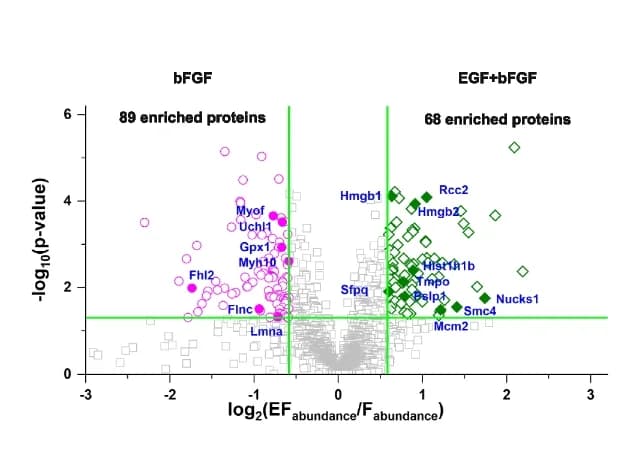 Open access visualization of Volcano Plot, Scatter Plot, Proteins, Astrocytes, bFGF