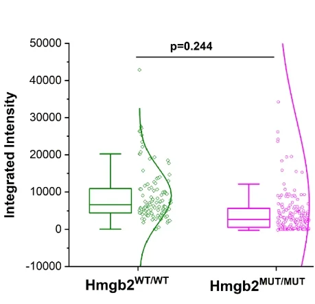 Open access visualization of Violin Plot, Box Plot, Scatter Plot, Dot Plot, Hmgb1