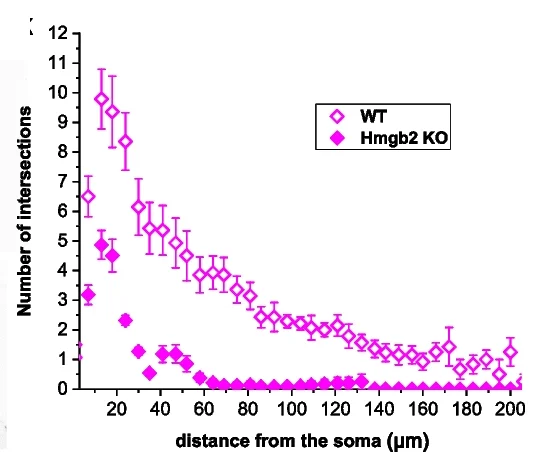 Open access visualization of Line Plot, Error Bars, Sholl Analysis, Induced Neurons, Neurog2