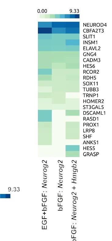 Open access visualization of Heatmap, Heat Map, Neurogenic Factors, Cell Culture, HMGB2