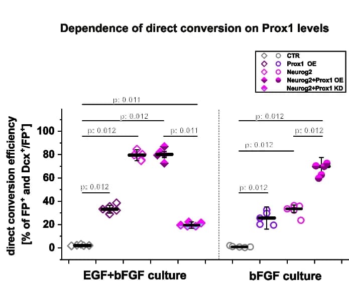 Open access visualization of Scatter Plot, Error Bars, Dot Plot, Transduced Cells, Neurons