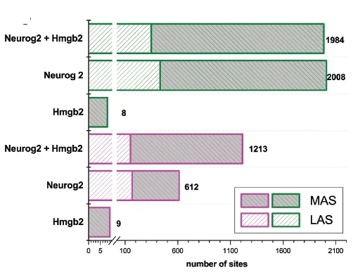 Open access visualization of Bar Plot, Stacked Bar Plot, Histogram, Accessible Sites, ATAC