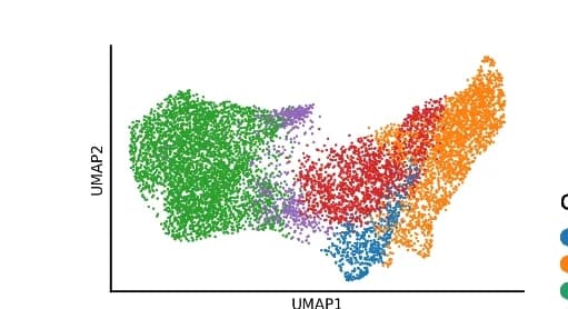 Open access visualization of UMAP, Metacells, Tissue, Cell Type Annotations