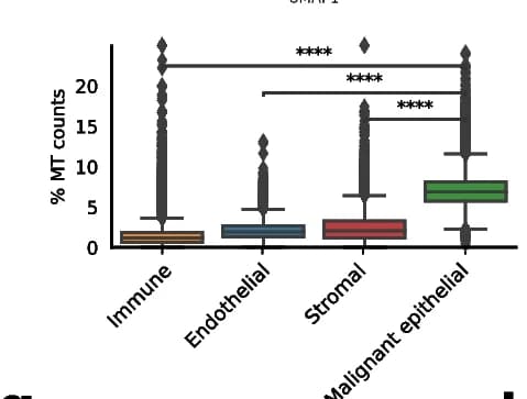 Open access visualization of Box Plot, pctMT, MT Counts, Cell Types, Bin2Cell