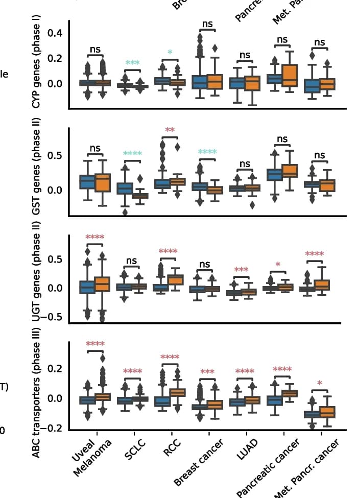 Open access visualization of Box Plot, Xenobiotic Metabolism, Gene Signature Scores, CYP Genes, UGT Genes