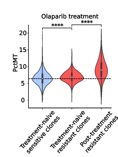 Open access visualization of Violin Plot, Box Plot, Cell Line, Treatment Sensitive, Treatment Resistant