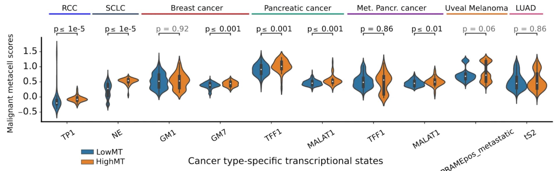 Open access visualization of Violin Plot, Transcriptional States, HighMT Cells, LowMT Cells, Cancer Type