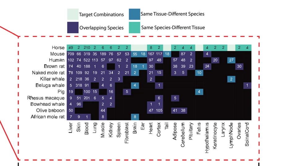 Open access visualization of Heatmap, Training Data, CMImpute, Horse, Tissues