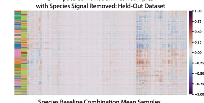 Open access visualization of Heatmap, Heatmaps, CMImpute, Species Signal Removal, Differentially Methylated Tissue