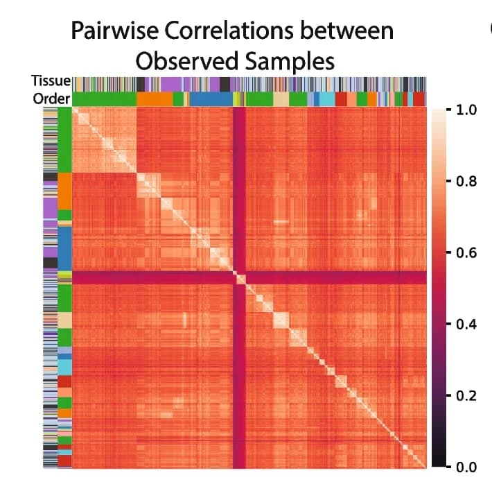 Open access visualization of Heatmap, Bar Plot, Pairwise Correlation, Species-Tissue Combination, Observed Data