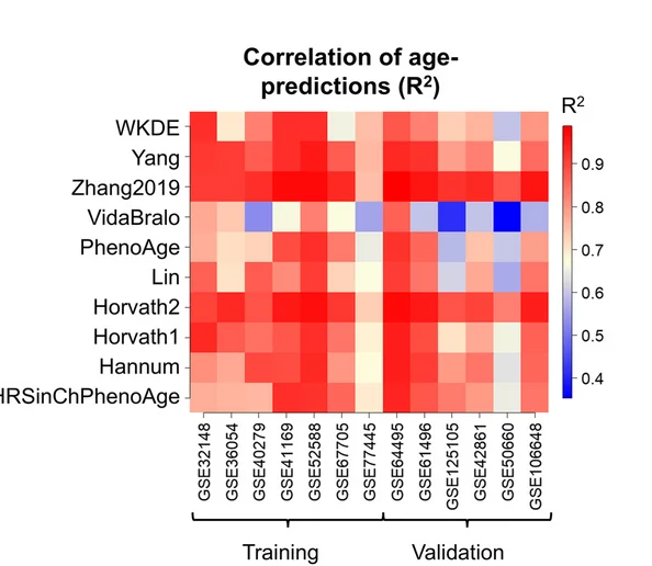 Open access visualization of Heatmap, Pearson Squared Correlation, Chronological Age, Predicted Age, WKDE