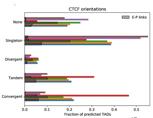 Open access visualization of Bar Plot, CTCF Binding Sites, Domain Boundaries, POLR2A ChiA-PET data