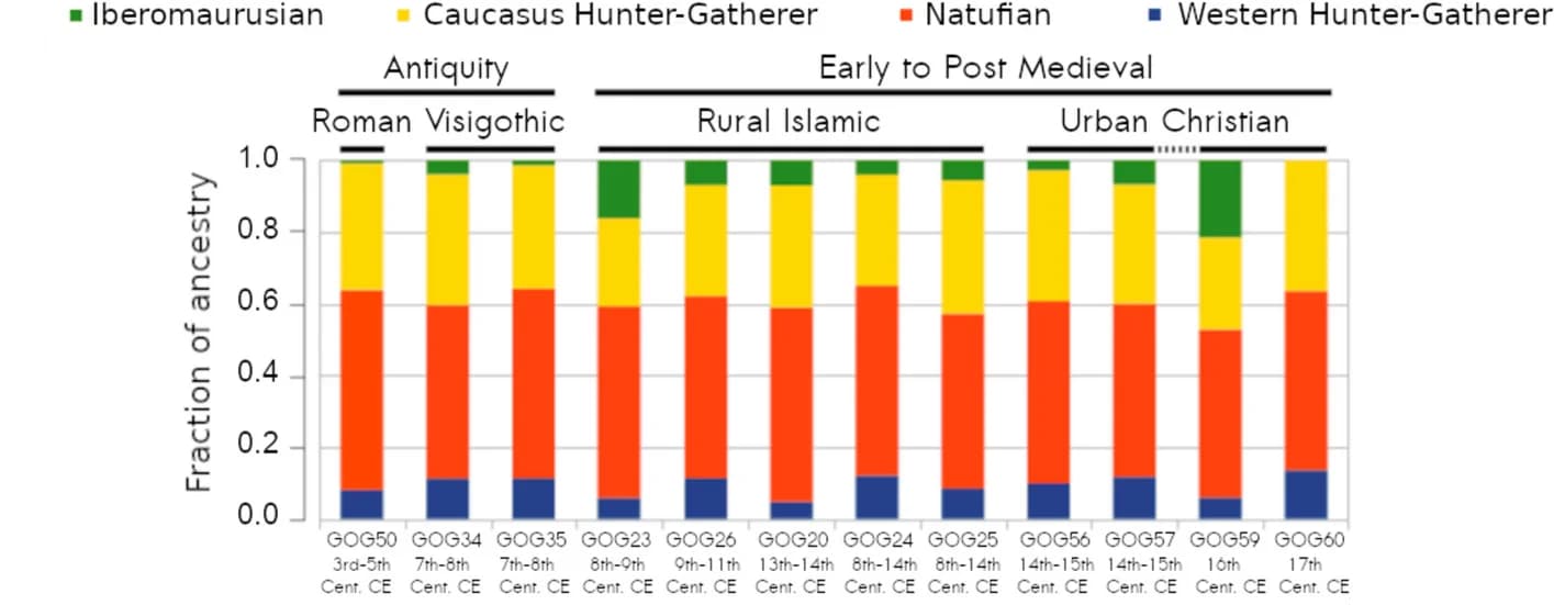 Open access visualization of Stacked Bar Plot, ADMIXTURE, Ancestry, Hunter-Gatherer Groups, Europe