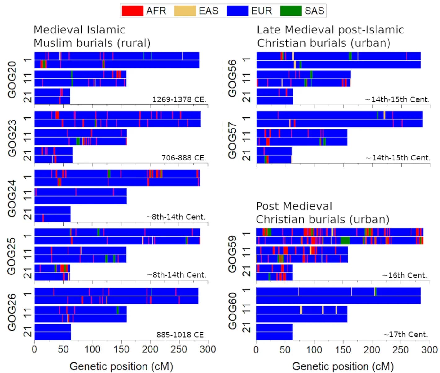 Open access visualization of Bar Plot, RFmix, Chromosome Ancestry, 1000 Genomes Project, African