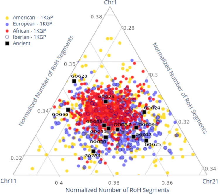 Open access visualization of Scatter Plot, PLINK, Runs of Homozygosity, Chromosome Length