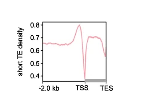 Open access visualization of Line Plot, Density Plot, Metaplot, Transposon Elements, Genic Regions