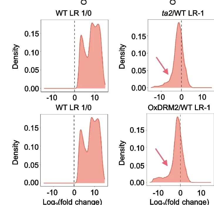 Open access visualization of Density Plot, Activated Genes, LR-1, ta2 Mutant, DRM2 Overexpression Lines