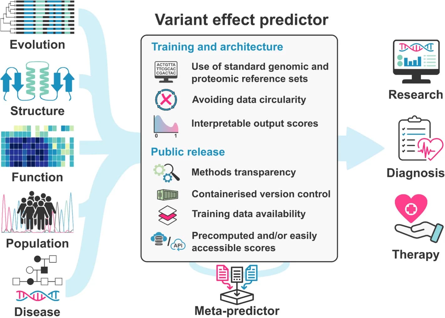 Open access visualization of Workflow, Illustration, Variant Effect Predictors, Inputs, Outputs
