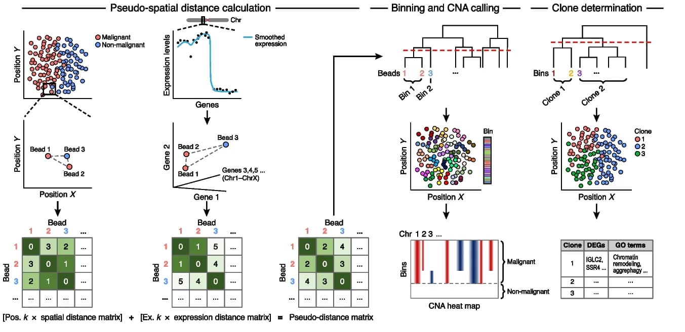 Open access visualization of Workflow, Scatter Plot, Line Plot, Heatmap, SlideCNA